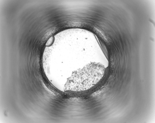 X0000093170538200710241041