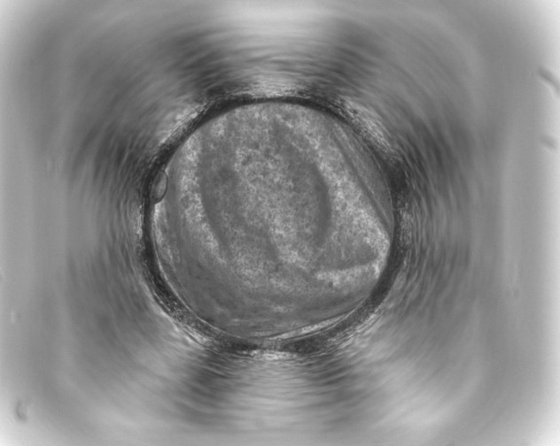 X0000093170539200710241041