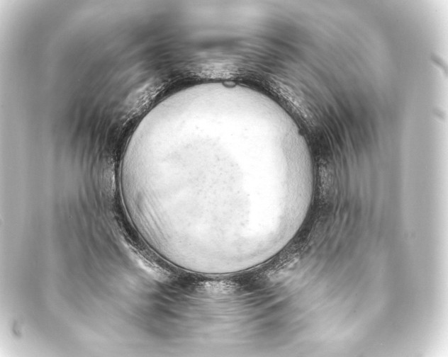 X0000093170541200710241042