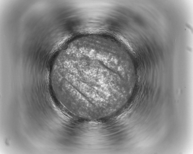 X0000093170542200710241042