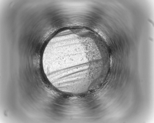 X0000093170544200710241042