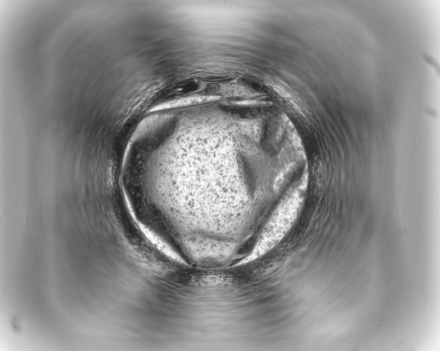 X0000093170546200710241042