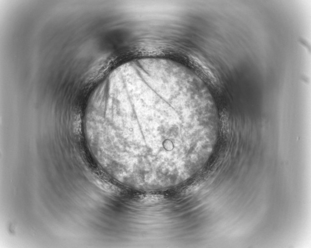 X0000093170549200710241042