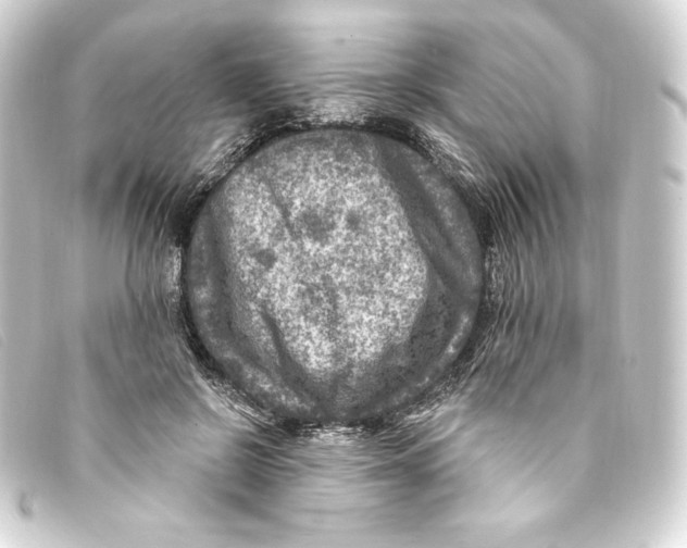 X0000093170550200710241042