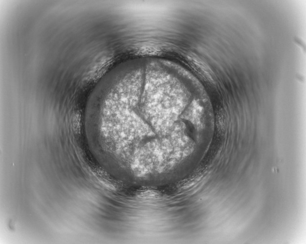 X0000093170551200710241042