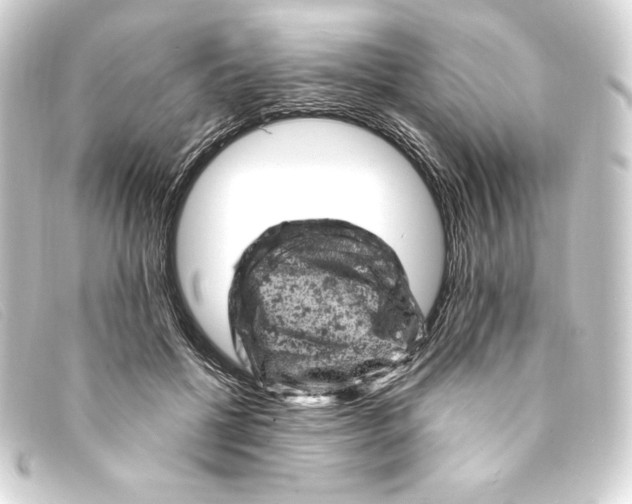 X0000093170552200710241042