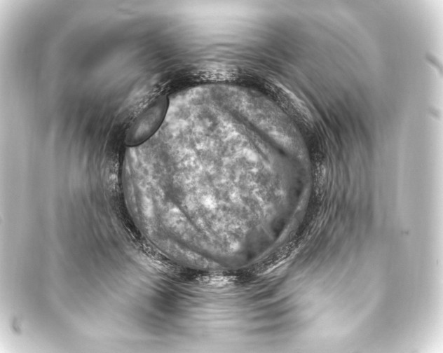 X0000093170553200710241042