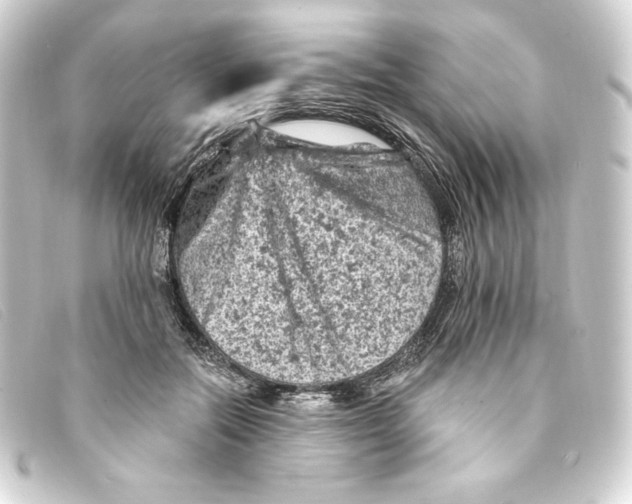 X0000093170554200710241042