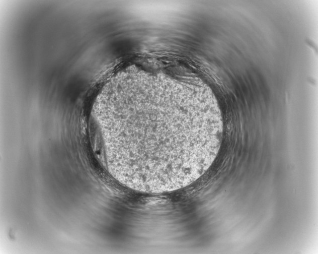 X0000093170555200710241042