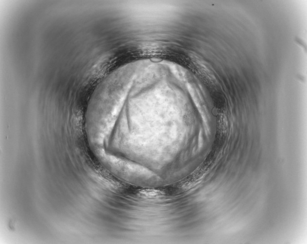 X0000093170557200710241042