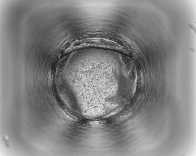 X0000093170558200710241042