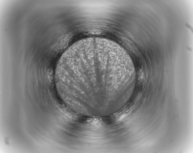 X0000093170559200710241042