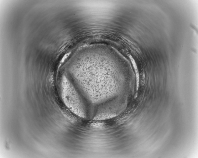 X0000093170560200710241042