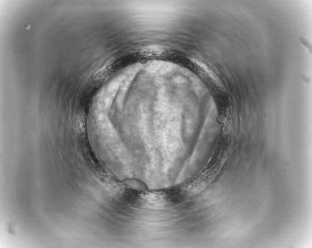 X0000093170561200710241042