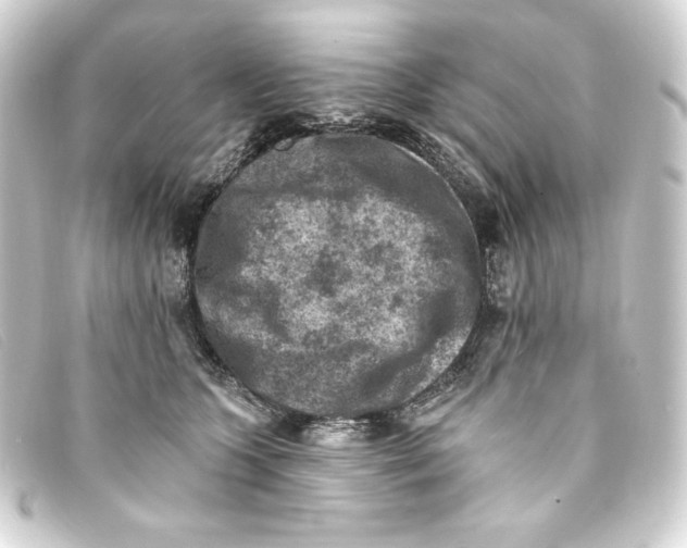 X0000093170563200710241042