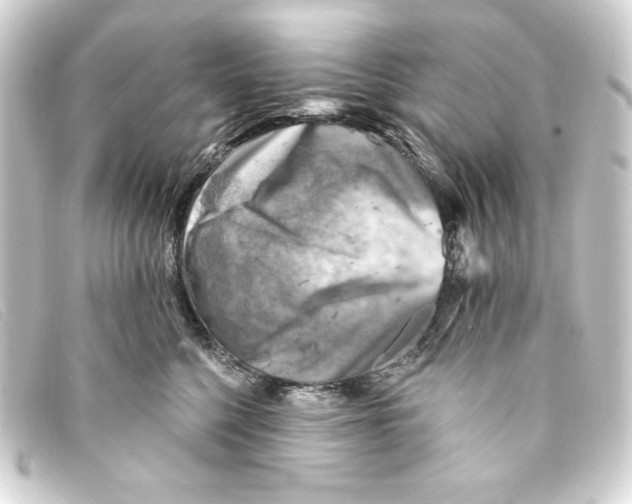 X0000093170568200710241042