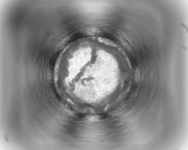 X0000093170569200710241042