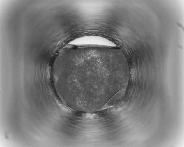 X0000093170570200710241042