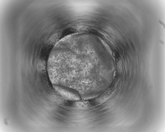 X0000093170571200710241042