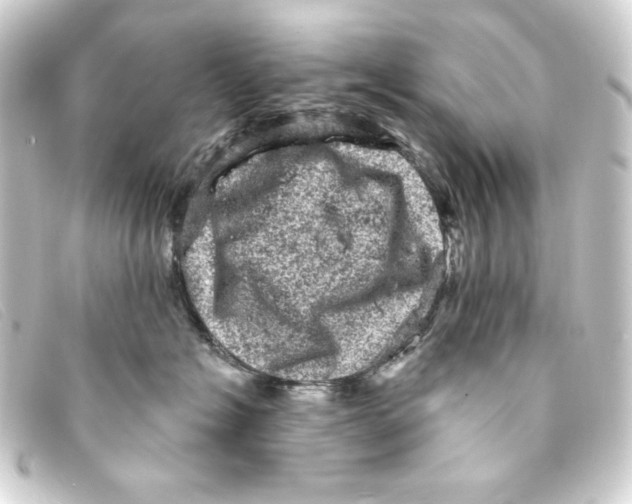 X0000093170574200710241042