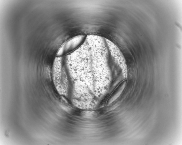 X0000093170575200710241042