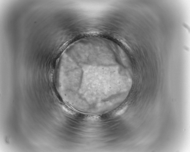 X0000093170576200710241042