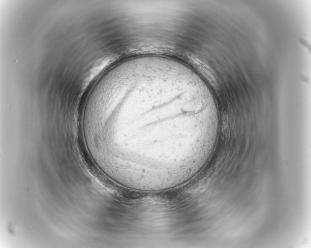 X0000093170578200710241041