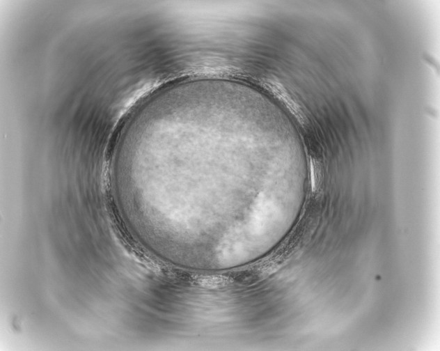 X0000093170579200710241041