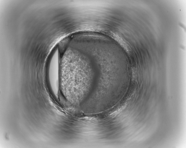 X0000093170580200710241041