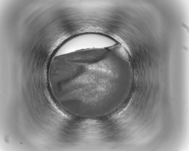 X0000093170581200710241041