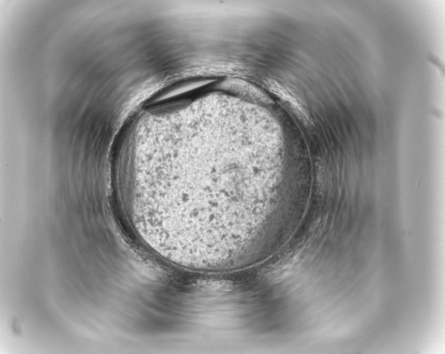 X0000093170582200710241041