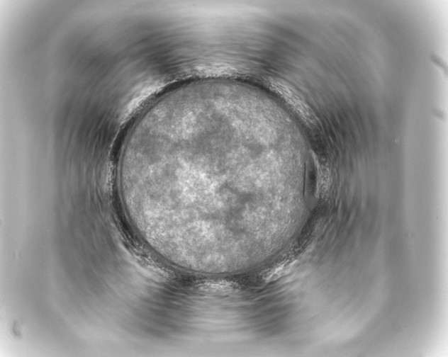 X0000093170583200710241041