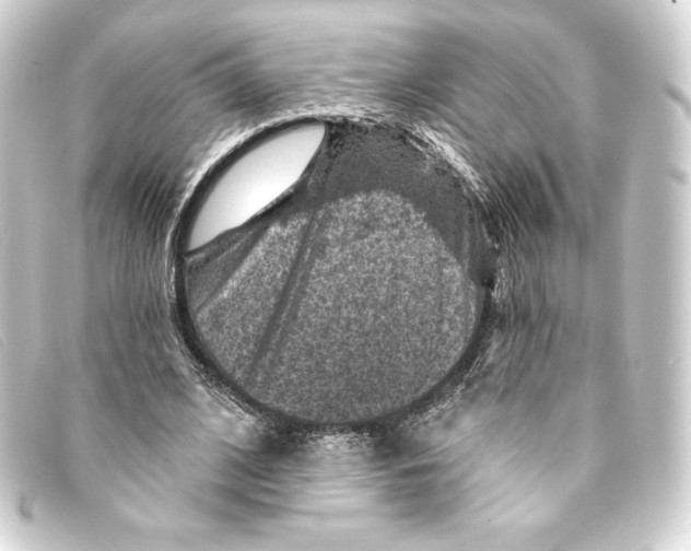 X0000093170584200710241041