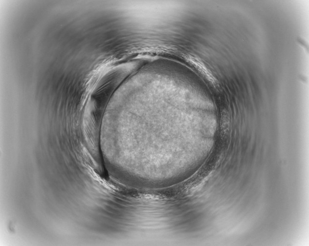 X0000093170585200710241041