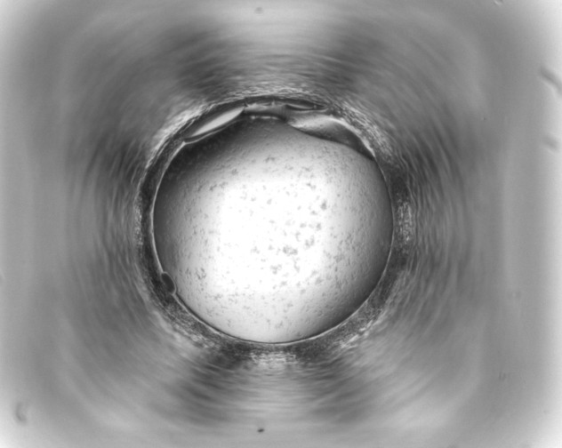 X0000093170587200710241041