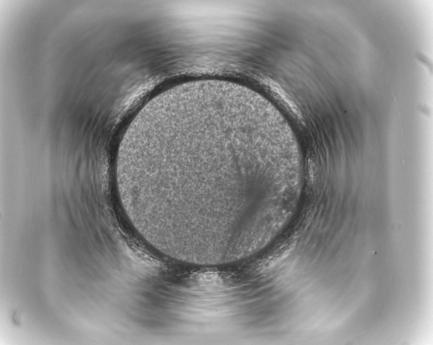 X0000093170588200710241041