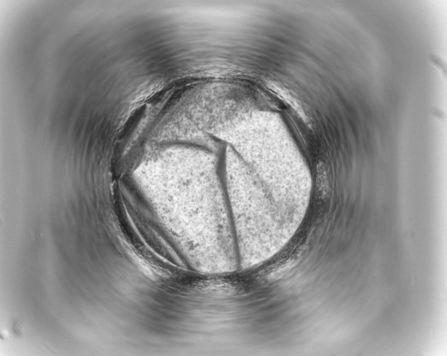 X0000093170589200710241041