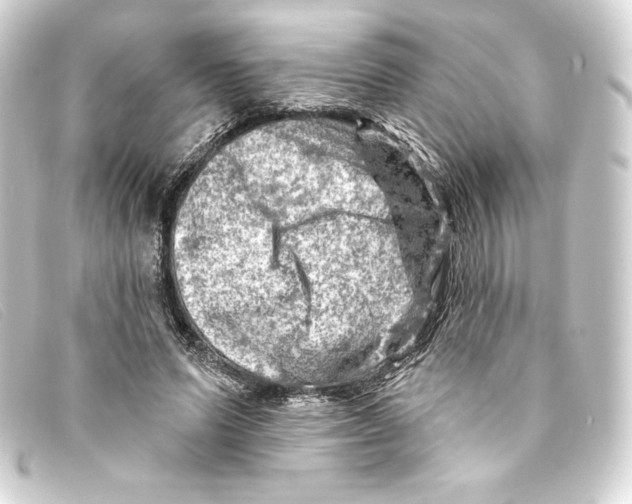 X0000093170591200710241041