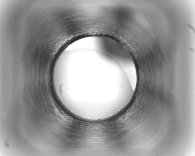 X0000093170592200710241041