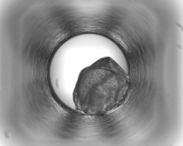 X0000093170593200710241041