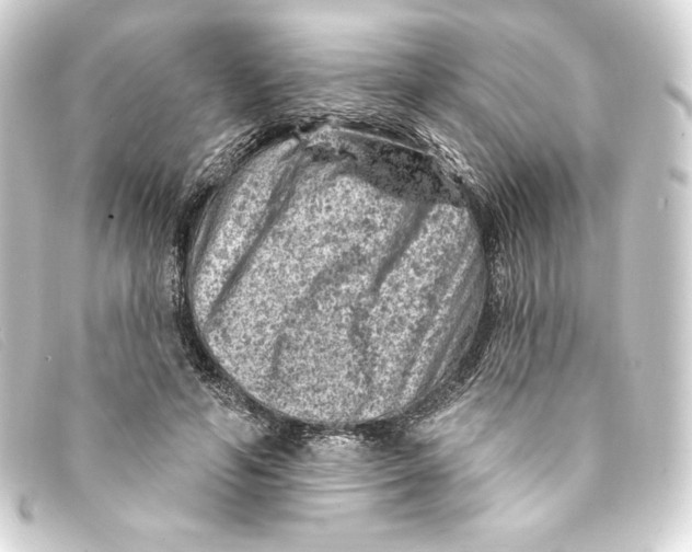 X0000093170594200710241041