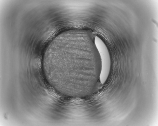 X0000093170595200710241041