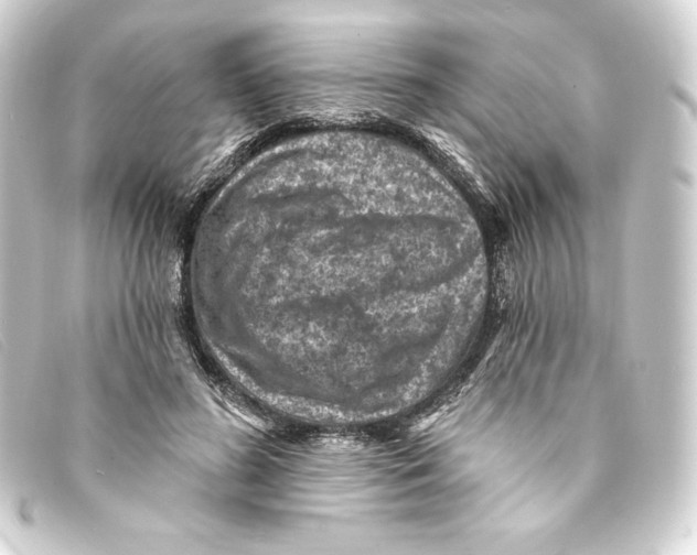 X0000093170596200710241041