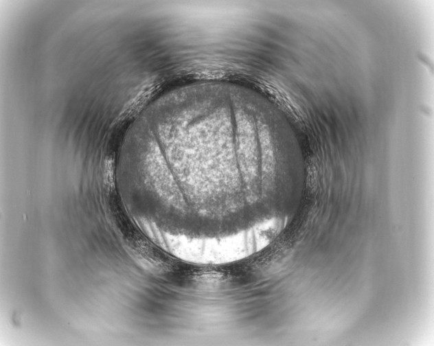 X0000093170598200710241041