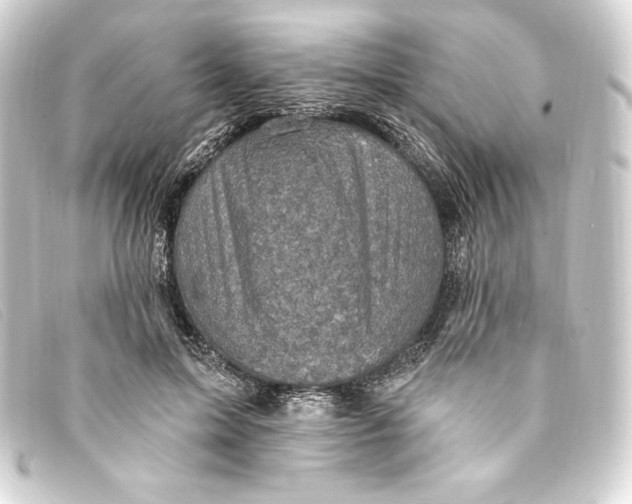 X0000093170599200710241041