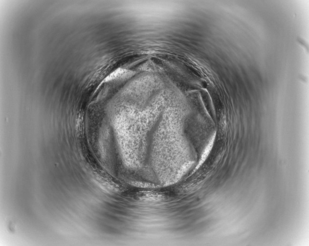 X0000093170601200710241041