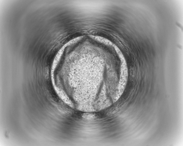 X0000093170602200710241041