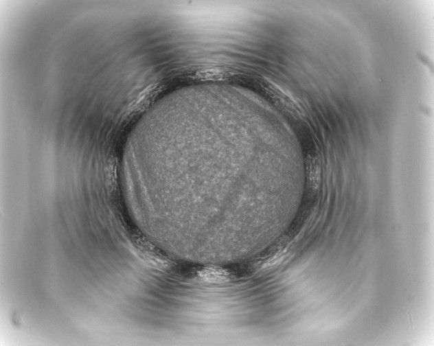 X0000093170603200710241041