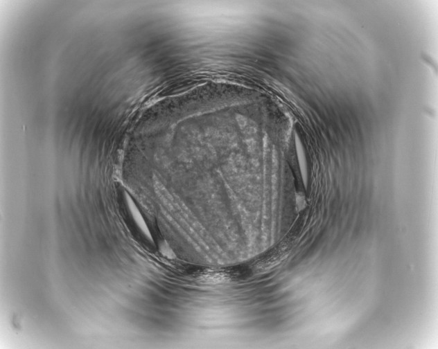 X0000093170604200710241041