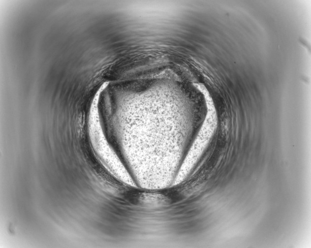 X0000093170605200710241041